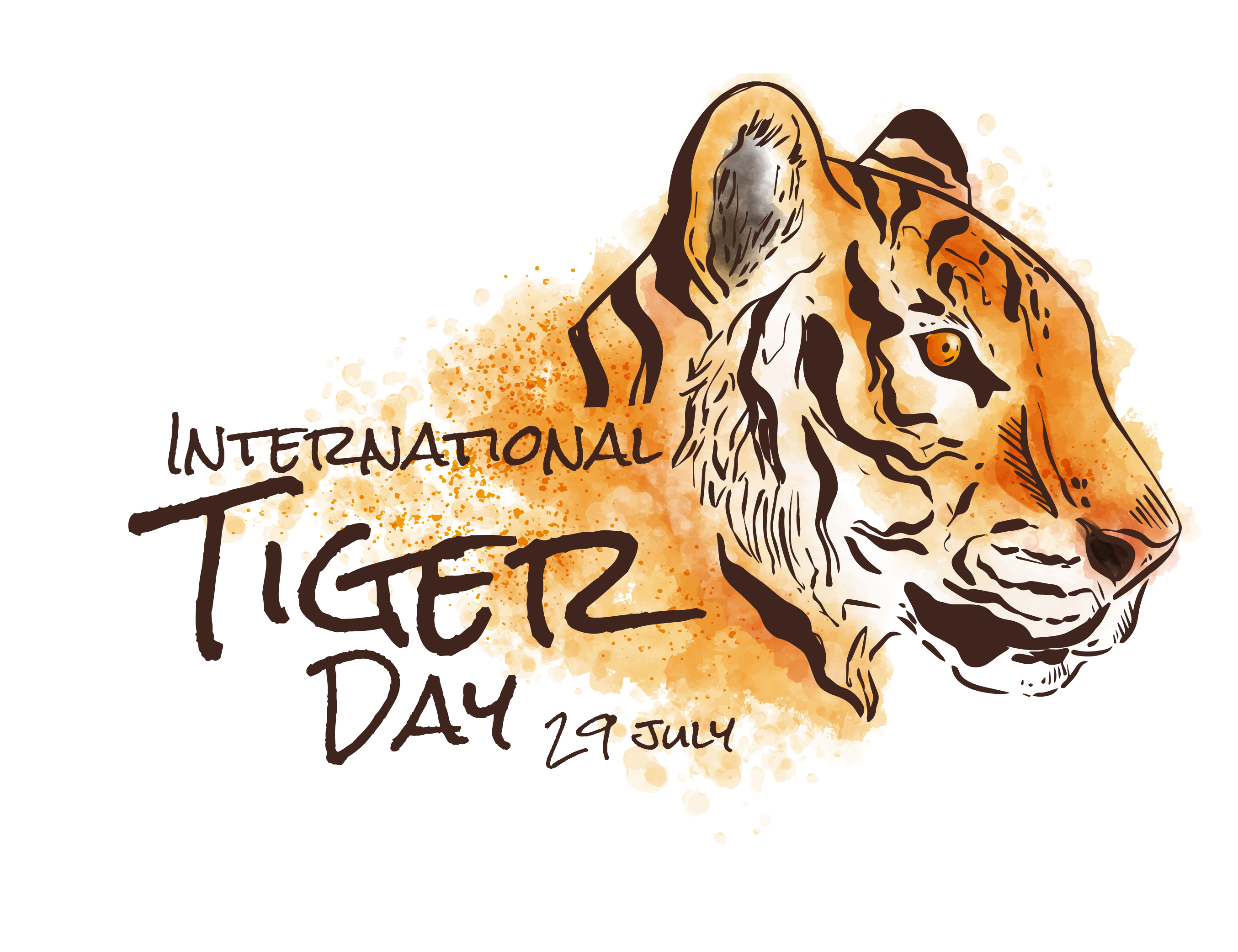 Internatıonal Tiger Day 29 July